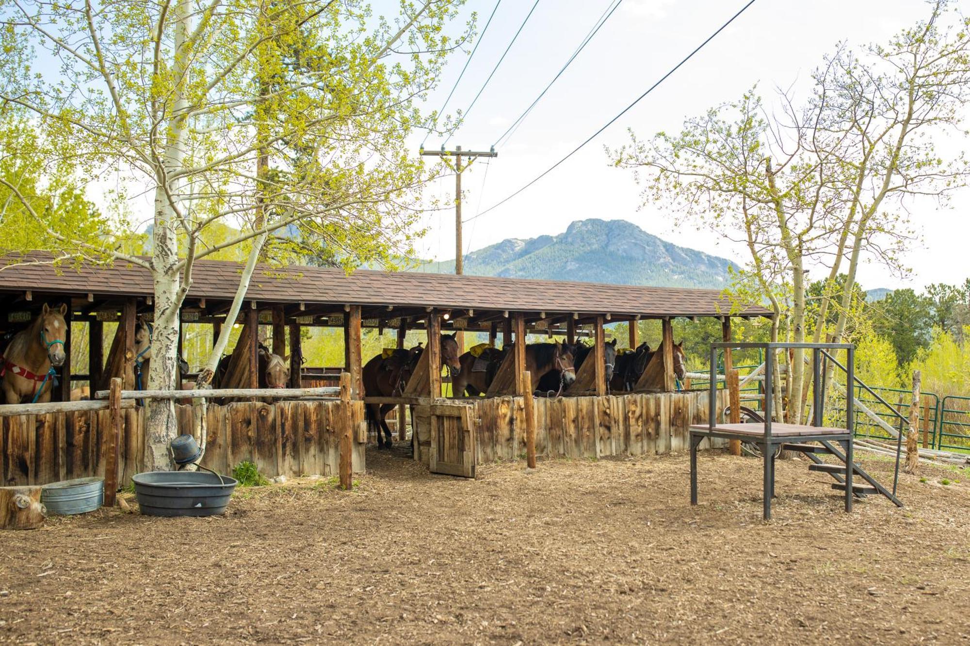 The Meeker Park Lodge Allenspark Exterior photo